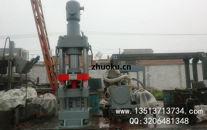 甘(gan)肅舔鹽壓(ya)塊機(ji)發(fa)貨現(xian)場(chang)