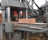 舔(tian)鹽壓塊機(ji)